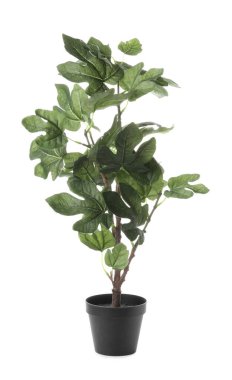 Çiçek saksısındaki güzel yapay bitki beyaza izole edilmiş.