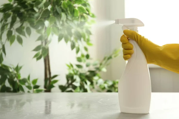 Pessoa Luvas Pulverização Detergente Mesa Dentro Casa Close Espaço Para — Fotografia de Stock