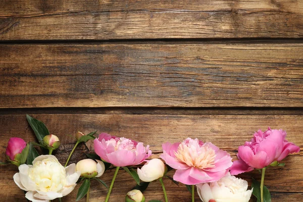 Hermosas Peonías Sobre Fondo Madera Planas Espacio Para Texto — Foto de Stock