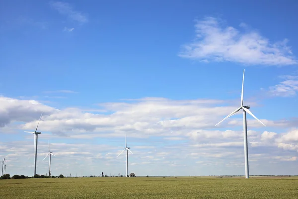 Prachtig Uitzicht Het Veld Met Windturbines Alternatieve Energiebron — Stockfoto