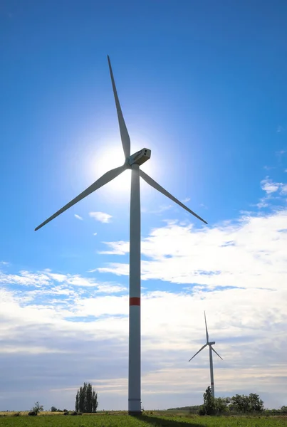 Prachtig Uitzicht Het Veld Met Windturbines Alternatieve Energiebron — Stockfoto