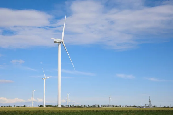 Prachtig Uitzicht Het Veld Met Windturbines Alternatieve Energiebron — Stockfoto