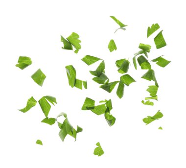 Beyaz arkaplanda taze yeşil maydanoz kes