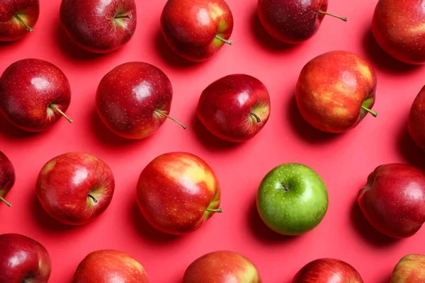 Manzana Verde Entre Los Rojos Sobre Fondo Color Plano Laico —  Fotos de Stock