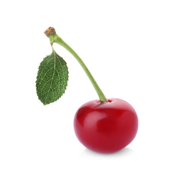 Delicious Ripe Sweet Cherry Leaf Isolated White — Stock Photo, Image