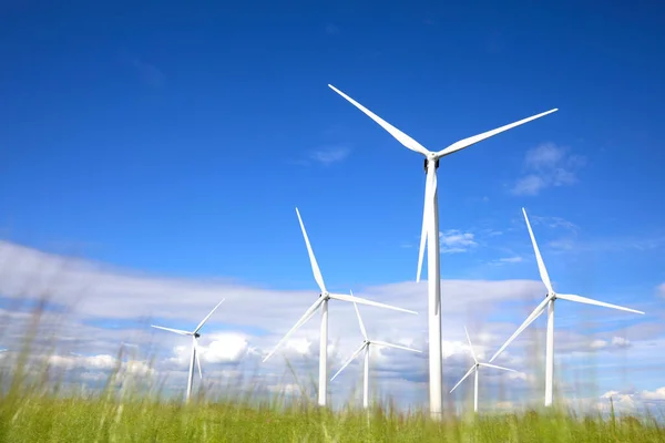 Alternatieve Energiebron Windturbines Het Veld Onder Blauwe Lucht Lage Hoekaanzicht — Stockfoto