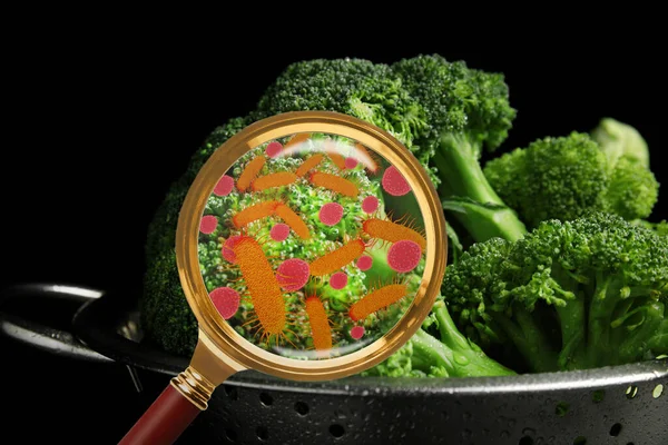 Magnifying glass and illustration of microbes on broccoli. Food poisoning concept