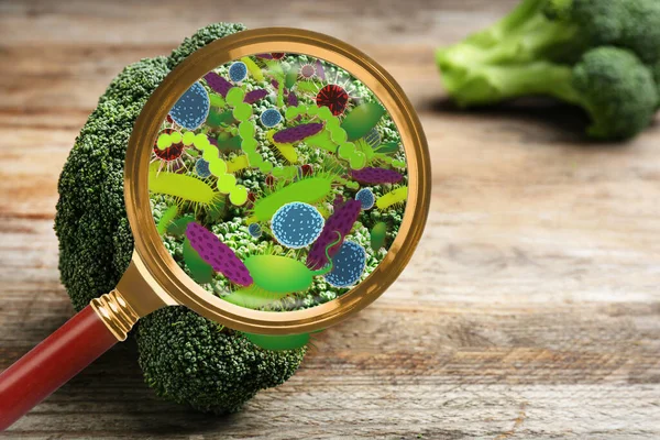 Lente Ingrandimento Illustrazione Microbi Broccoli Concetto Intossicazione Alimentare — Foto Stock
