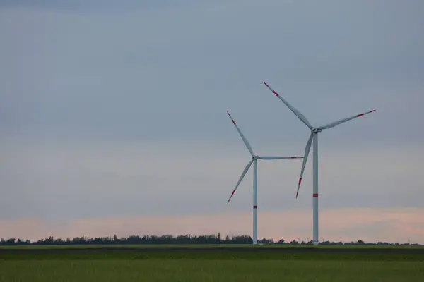 Beautiful View Field Wind Turbines Evening Alternative Energy Source — Stock Photo, Image