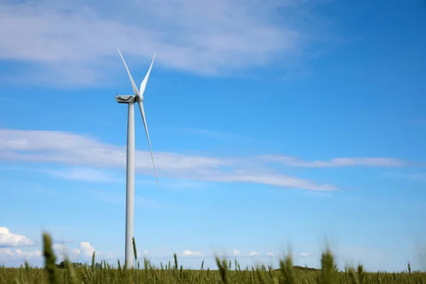 Prachtig Uitzicht Het Veld Met Windturbine Alternatieve Energiebron — Stockfoto