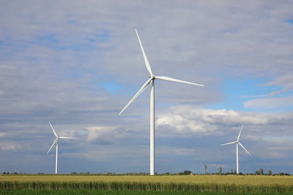 Prachtig Uitzicht Het Veld Met Windturbines Alternatieve Energiebron — Stockfoto