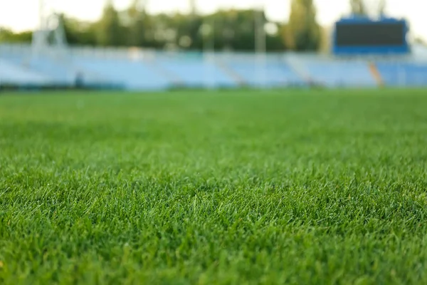 경기장에는 잔디가 — 스톡 사진