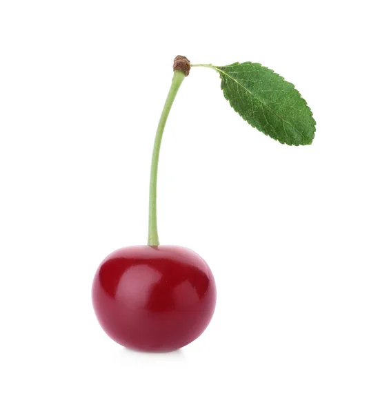 Delicious Ripe Sweet Cherry Leaf Isolated White — Stock Photo, Image