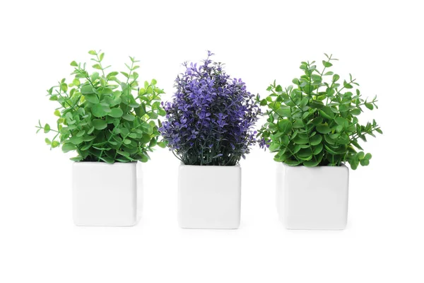 Krásné Umělé Rostliny Květináčích Izolovaných Bílém — Stock fotografie