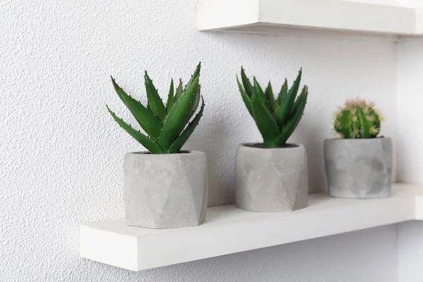 Beautiful Artificial Plants Flower Pots Shelf — Stock Photo, Image