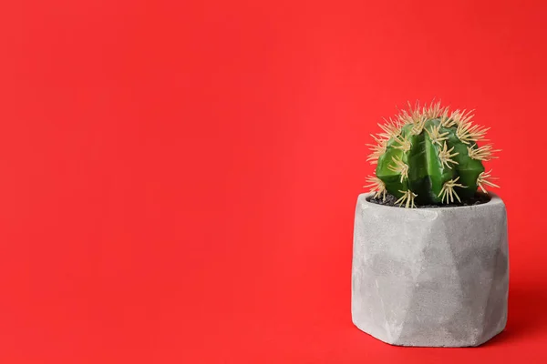 Schöne Künstliche Pflanze Blumentopf Auf Rotem Hintergrund Platz Für Text — Stockfoto