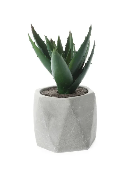 Bela Planta Artificial Vaso Flores Isolado Branco — Fotografia de Stock