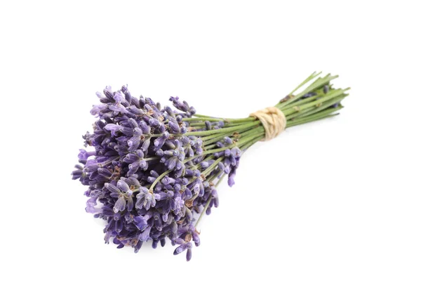 Beautiful Bouquet Lavender Flowers White Background — Stock Photo, Image