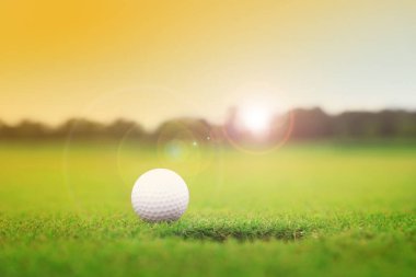 Güneşli bir günde parkta deliğe yakın golf topu. Tasarım için boşluk