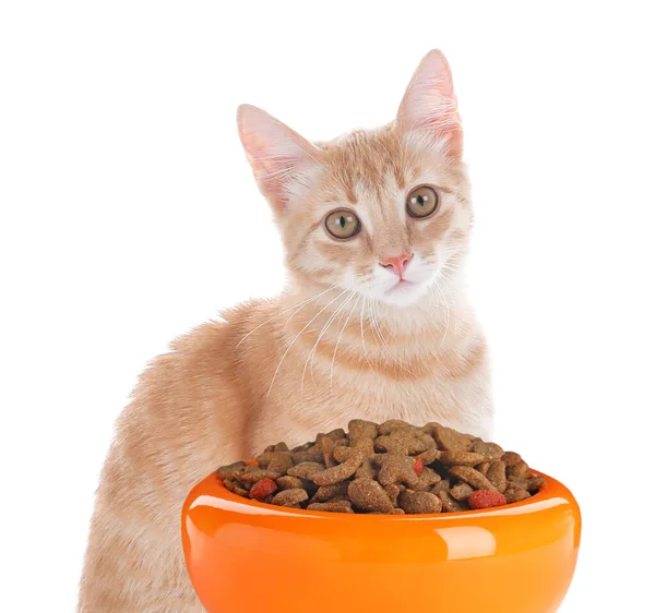 Lindo Gato Amarillo Tabby Tazón Alimentación Con Comida Seca Sobre — Foto de Stock