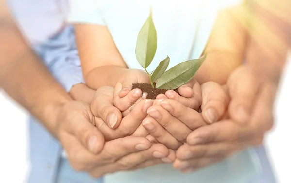 Família Segurando Solo Com Planta Verde Nas Mãos Sobre Fundo — Fotografia de Stock