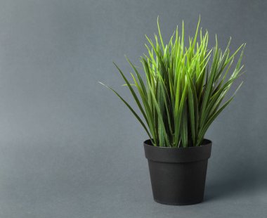 Gri arkaplanda çiçek saksısında güzel yapay bitki, metin için boşluk