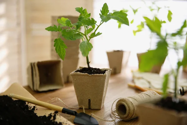 Erde Gartenkelle Seil Und Grüne Tomatensetzlinge Torftopf Auf Holztisch — Stockfoto