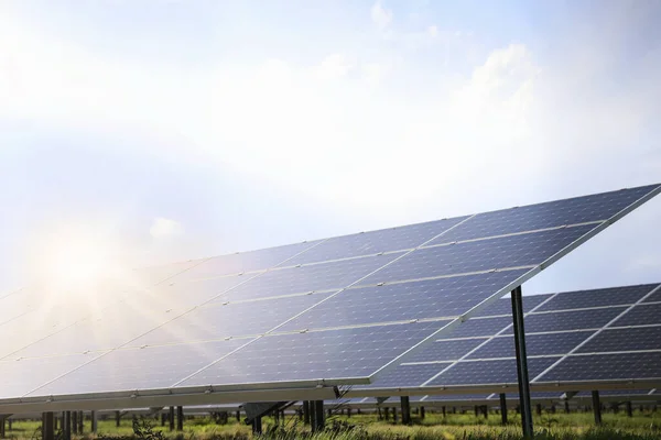 Painéis Solares Instalados Livre Fonte Energia Alternativa — Fotografia de Stock