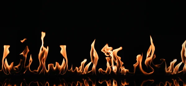 Beautiful bright fire flames on black background