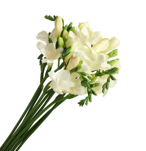 Vacker Blommande Freesia Blommor Isolerade Vitt — Stockfoto