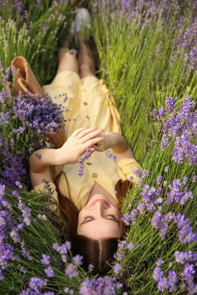 夏日躺在薰衣草地里的年轻女子 — 图库照片