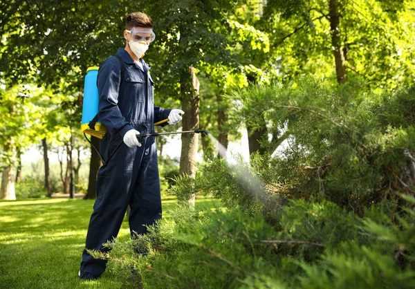 Arbeiter Sprühen Pestizide Auf Grünen Busch Freien Schädlingsbekämpfung — Stockfoto