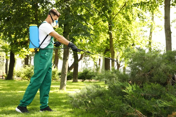 Trabajador Rociando Pesticida Sobre Arbusto Verde Aire Libre Control Plagas — Foto de Stock