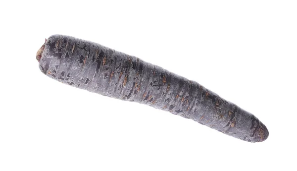 Свежая Черная Морковь Изолированная Белом — стоковое фото