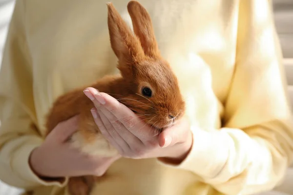 Mujer Joven Con Conejo Adorable Interior Primer Plano Hermosa Mascota — Foto de Stock