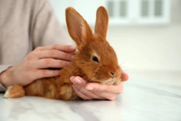 Junge Frau Mit Entzückendem Kaninchen Tisch Drinnen Nahaufnahme Schönes Haustier — Stockfoto