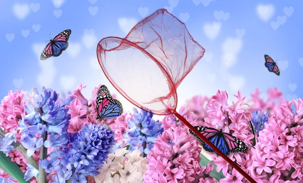 Яскрава Сітка Тендітні Монархи Метелики Квітковому Саду — стокове фото