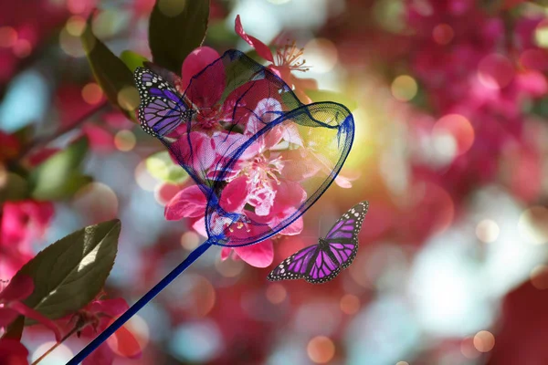 Bright net and beautiful butterflies on blossoming tree outdoors