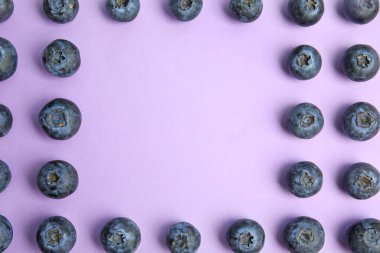 Leylak kaplamalı taze yaban mersini çerçevesi, düz. Metin için boşluk