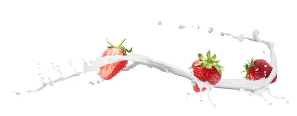 stock image Fresh strawberries with milk splash on white background. Banner design