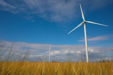 Rüzgar türbinleriyle çok güzel bir alan manzarası. Alternatif enerji kaynağı