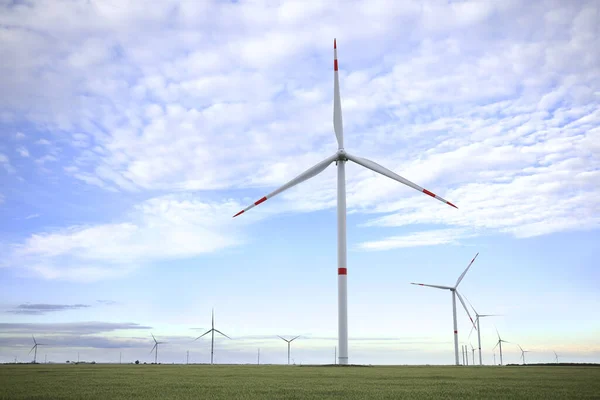 Belle Vue Sur Terrain Avec Des Éoliennes Source Énergie Alternative — Photo