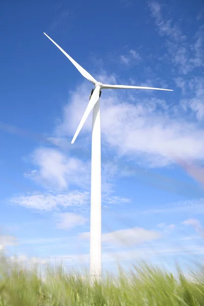 Windturbine Het Veld Zonnige Dag Lage Hoek Uitzicht Alternatieve Energiebron — Stockfoto