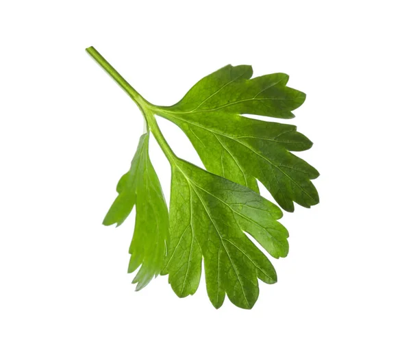 Aromatisk Färsk Grön Persilja Isolerad Vit — Stockfoto