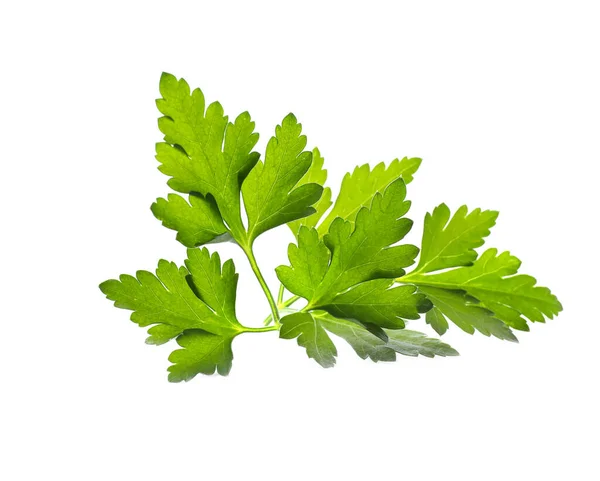 Fresh Green Organic Parsley Isolated White — Stock Photo, Image