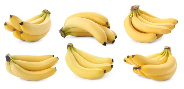 Conjunto Com Deliciosas Bananas Fundo Branco Design Banner — Fotografia de Stock