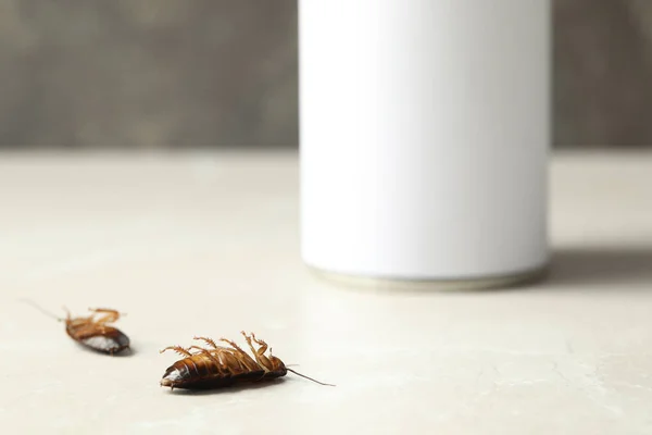 Dode Bruine Kakkerlakken Lichtgrijze Marmeren Achtergrond Close Bestrijding Van Plagen — Stockfoto