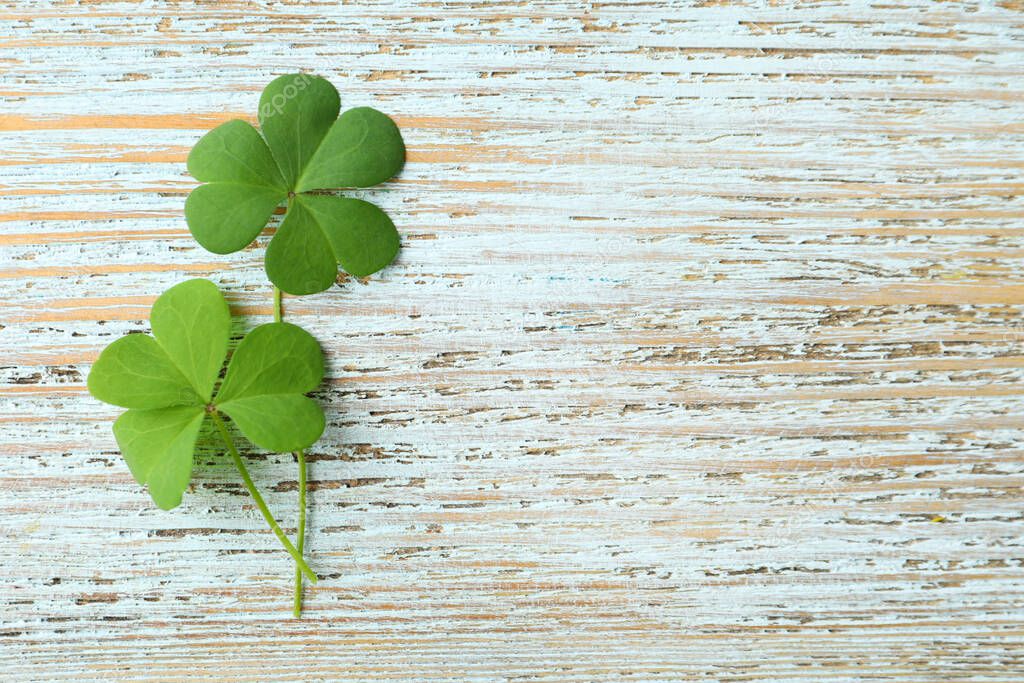 Clover leaves on light wooden table, flat lay with space for text. St. Patrick's Day symbol