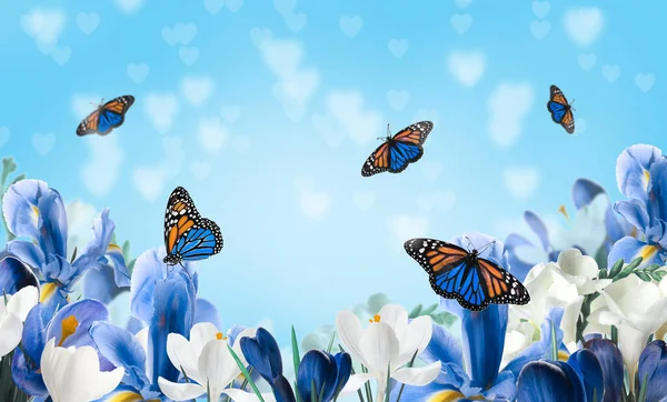 Belles Fleurs Florissantes Étonnants Papillons Monarques Fragiles — Photo