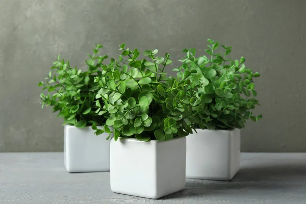 Kunstplanten Witte Bloempotten Grijze Houten Tafel — Stockfoto